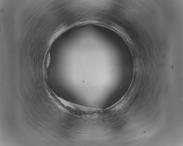 X0000076090858200610152317