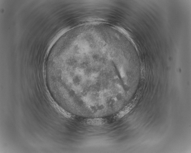 X0000076090859200610152317