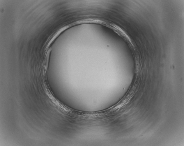 X0000076090860200610152317