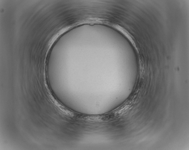 X0000076090861200610152317