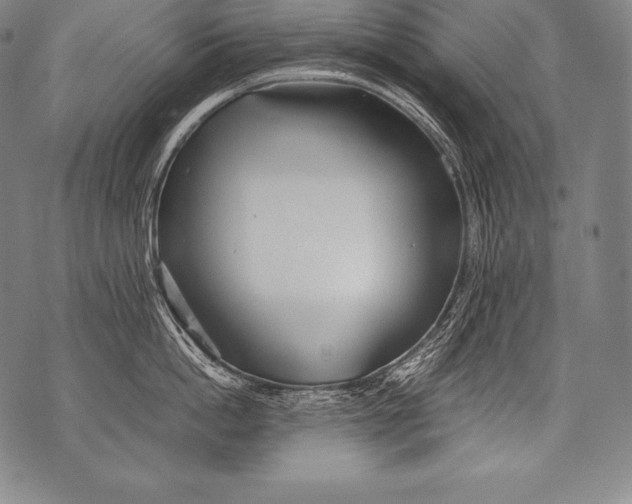 X0000076090862200610152317