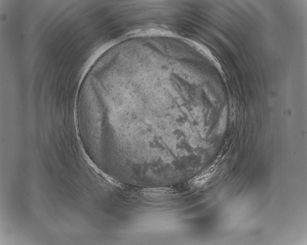 X0000076090863200610152317