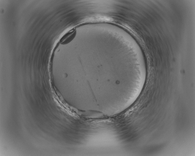 X0000076090864200610152317