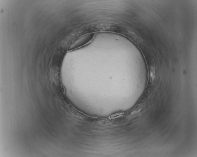 X0000076090867200610152316