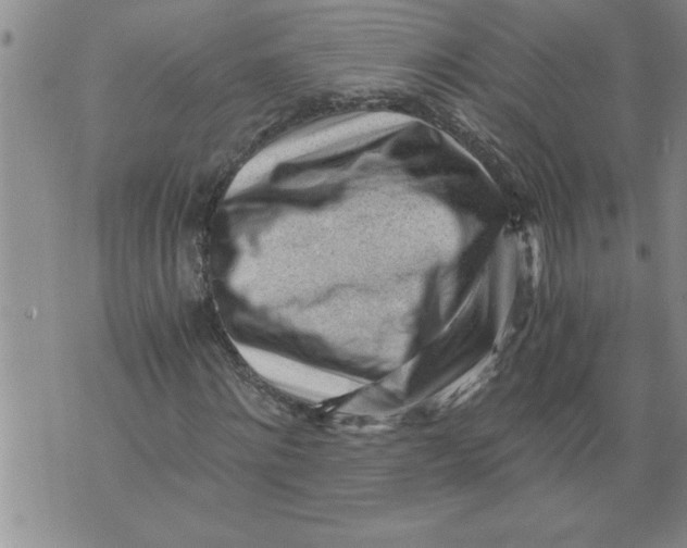 X0000076090868200610152316