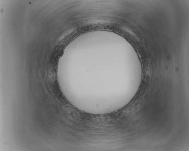 X0000076090869200610152316