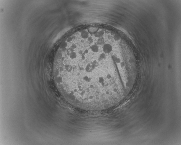 X0000076090871200610152316