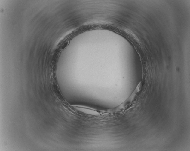 X0000076090872200610152316