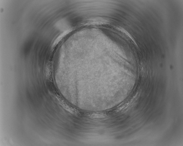 X0000076090874200610152316