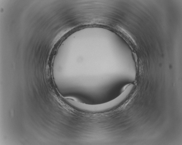 X0000076090876200610152316