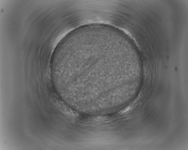 X0000076090879200610152316