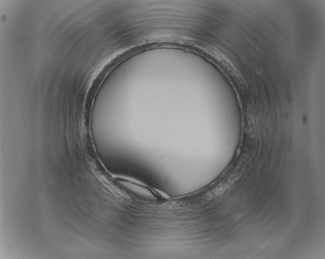 X0000076090880200610152316