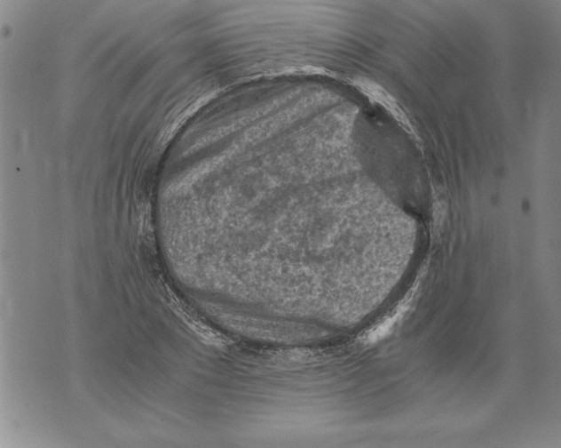 X0000076090881200610152316