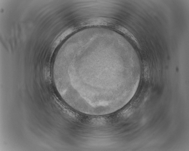 X0000076090882200610152316