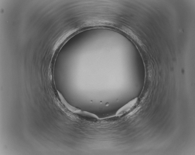 X0000076090885200610152316