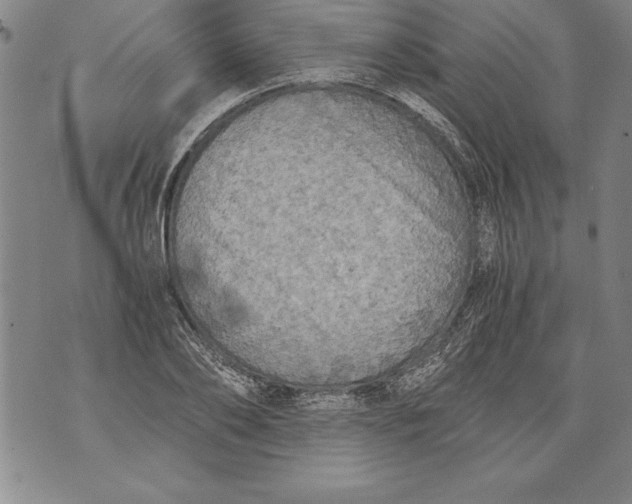 X0000076090886200610152315