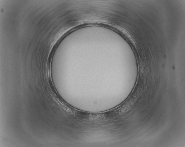 X0000076090887200610152315