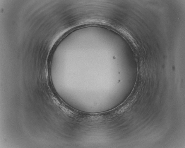 X0000076090888200610152315