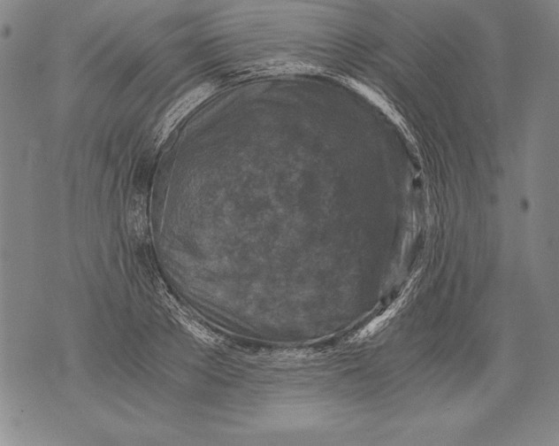 X0000076090889200610152315