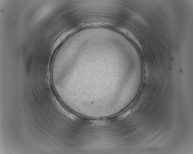 X0000076090890200610152315