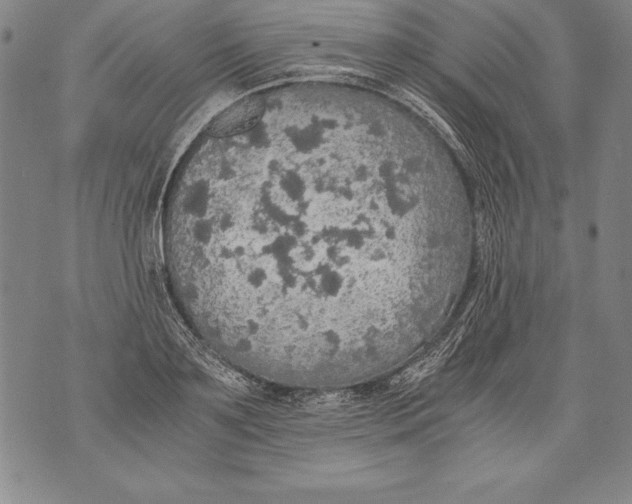 X0000076090891200610152315