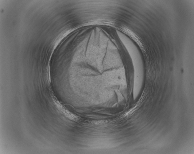 X0000076090892200610152315