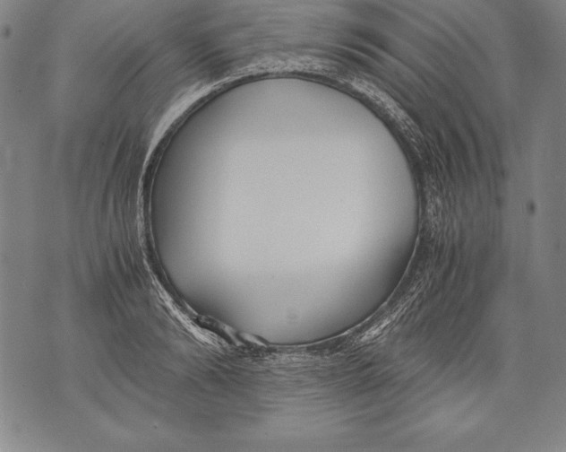 X0000076090894200610152315