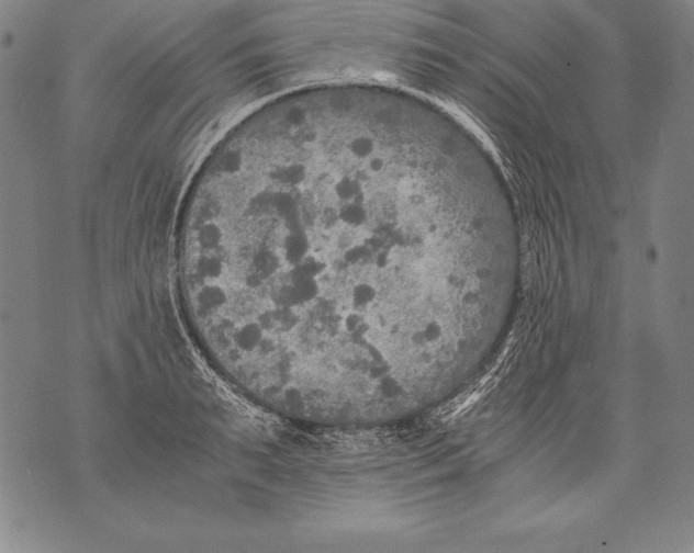 X0000076090895200610152315