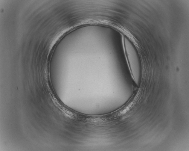 X0000076090896200610152315