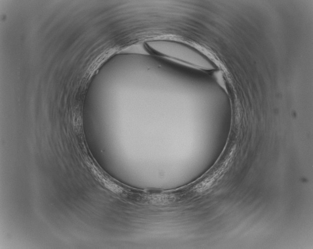 X0000076090897200610152315