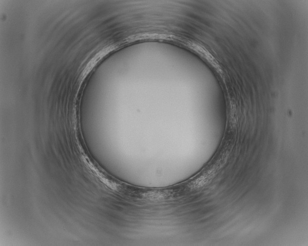 X0000076090898200610152315