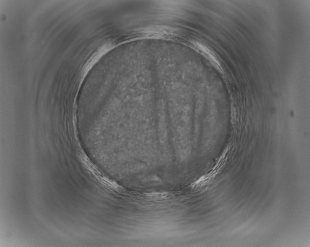 X0000076090899200610152315