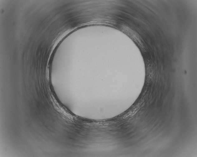 X0000076090900200610152315