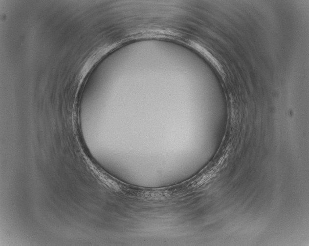 X0000076090901200610152315