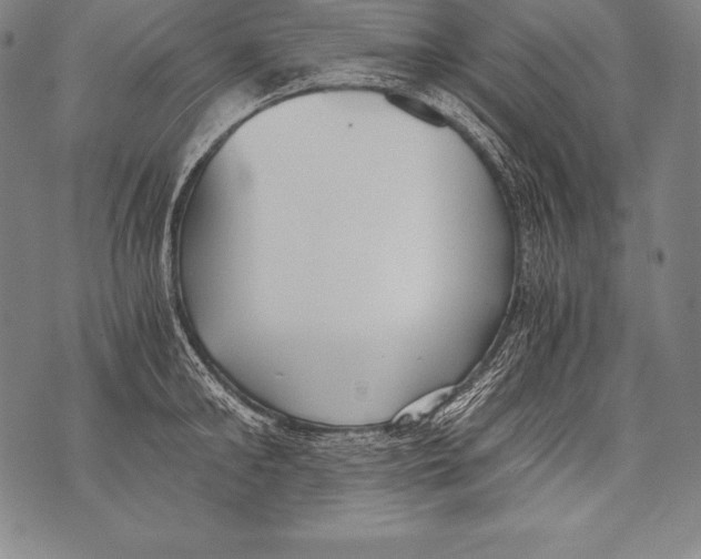 X0000076090902200610152315