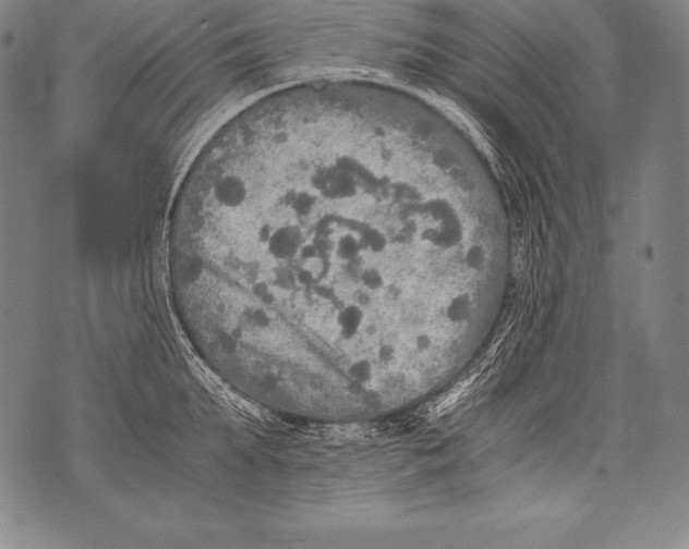 X0000076090903200610152315