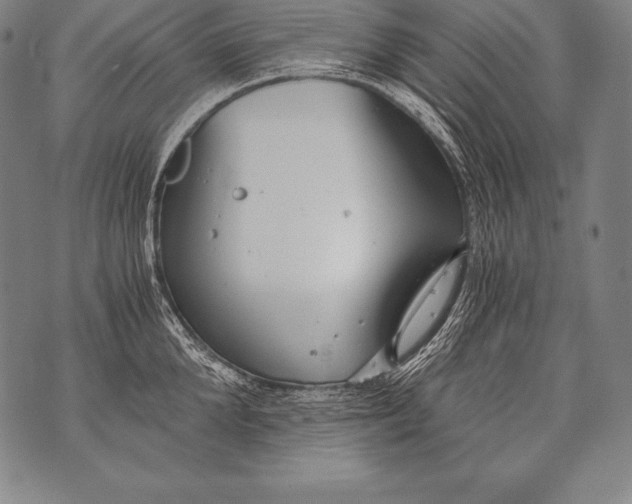 X0000076090904200610152315