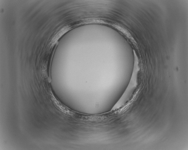 X0000076090905200610152315