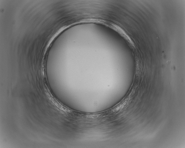 X0000076090908200610152315