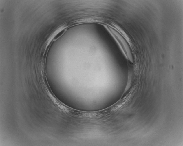 X0000076090909200610152315