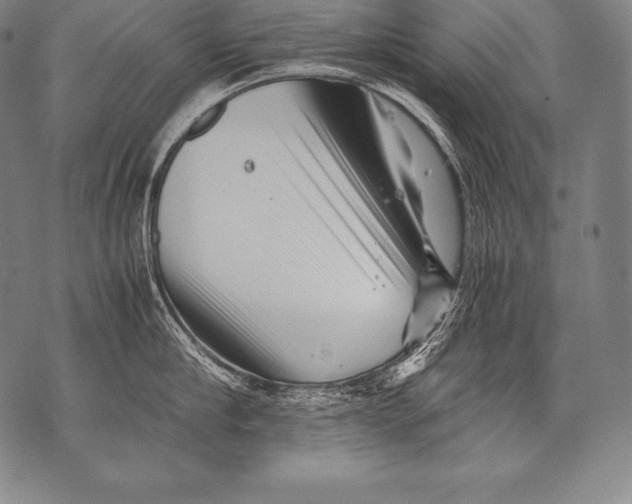 X0000076090910200610152315