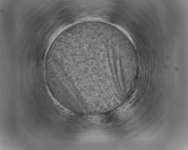 X0000076090911200610152315