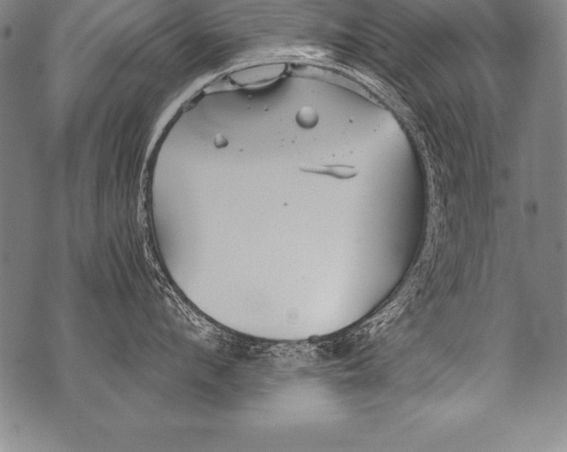 X0000076090912200610152315