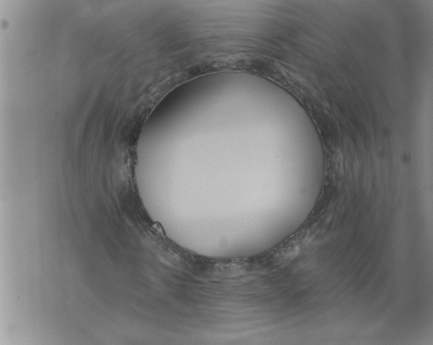 X0000076090914200610152314