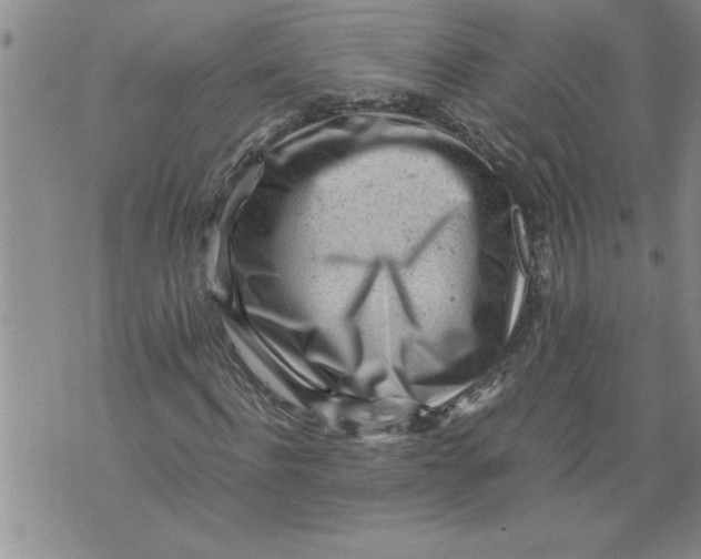 X0000076090916200610152314