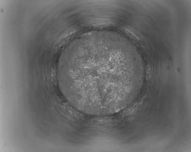 X0000076090917200610152314