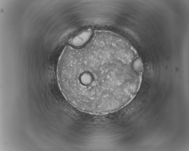 X0000076090918200610152314