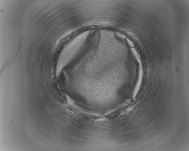 X0000076090920200610152314