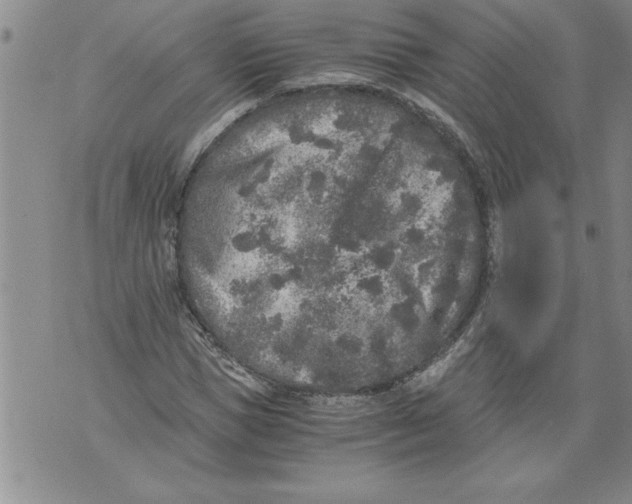 X0000076090921200610152314