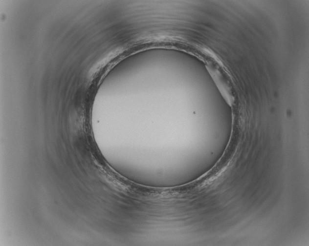 X0000076090922200610152314